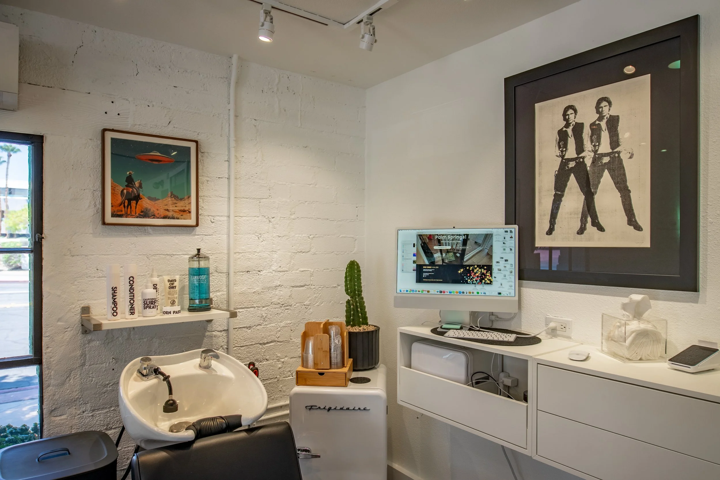 Interior of a hair salon or beauty studio with framed art on white brick walls, a computer on a white counter, a potted cactus, shelves with hair products, a black-framed poster of two women, and a washing station.
